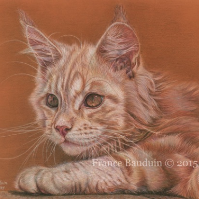 Mac - 19 hours
Terracotta Pastelmat
11.8" x 15"
Friend's Maine Coon Mac - 19 hours
Terracotta Pastelmat
11.8" x 15"
Friend's Maine Coon
